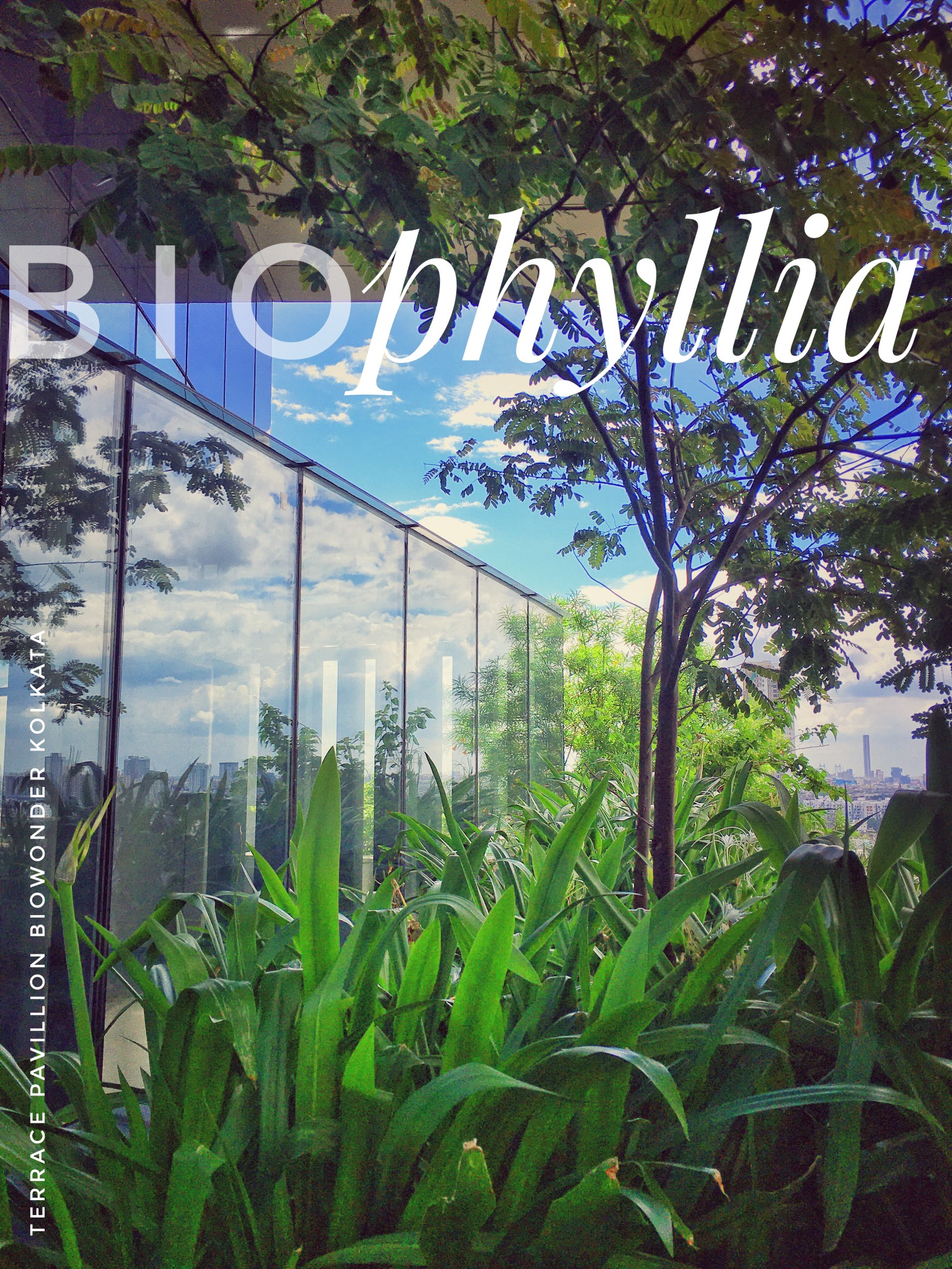 Biowonder glass facade, trees and planting with the supplied Biophilia graphic, Kolkata