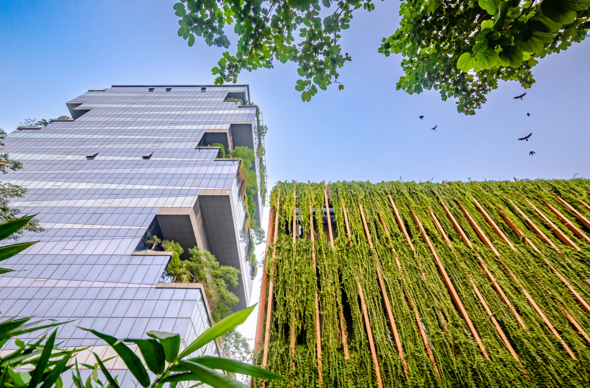 Biowonder tower beside a vertical green screen, framed by tree branches, Kolkata