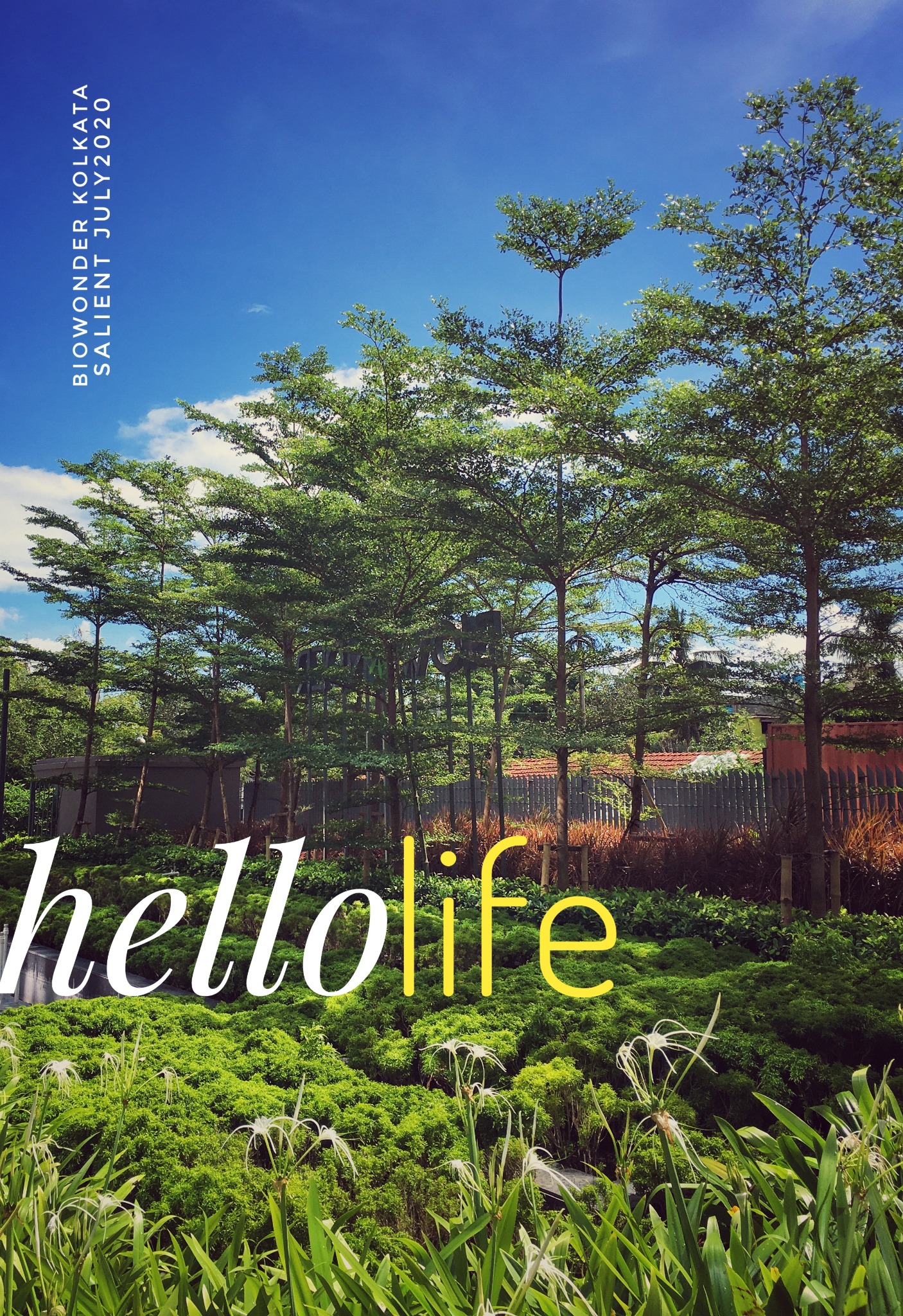Biowonder planted garden with the supplied hello life graphic, Kolkata